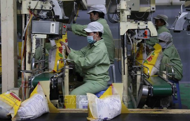 Les exportations du riz du Vietnam connaissent des conditions favorables ảnh 2 Les exportations du riz du Vietnam connaissent des conditions favorables ảnh 2