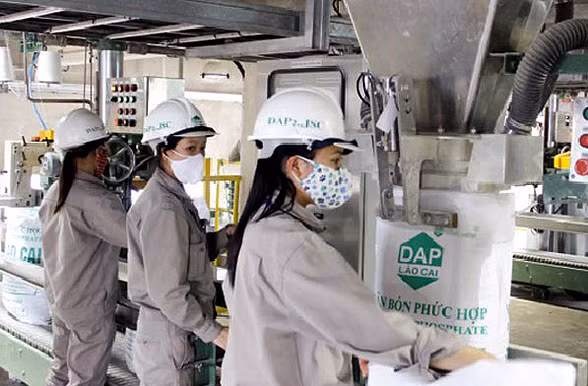 Bond des exportations nationales d’engrais en 7 mois ảnh 1