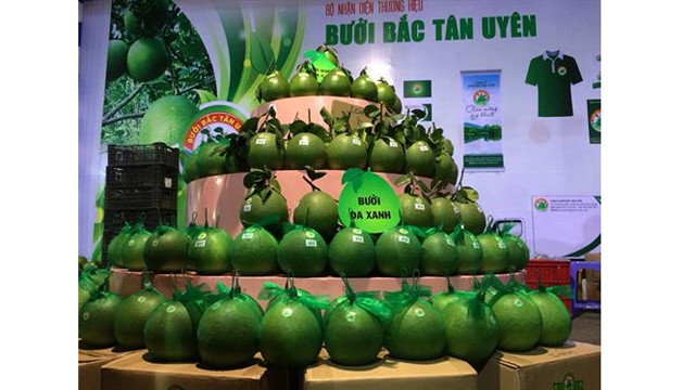 Binh Duong cherche à valoriser ses agrumes ảnh 1 Binh Duong cherche à valoriser ses agrumes ảnh 1