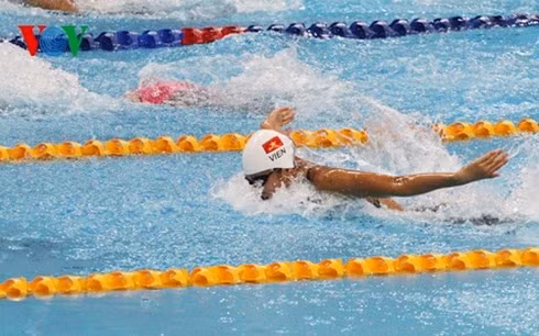 Les 10 événements sportifs du pays en 2015 ảnh 1