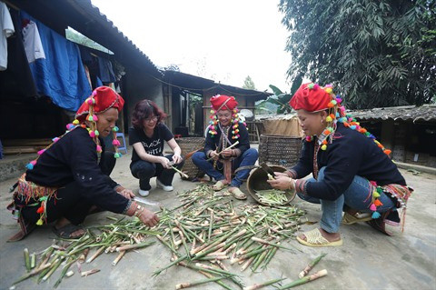 Les pousses de bambou contribuent au refus de la pauvreté ảnh 2 Les pousses de bambou contribuent au refus de la pauvreté ảnh 2