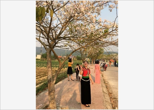 La beauté des fleurs du mois de mars ảnh 6