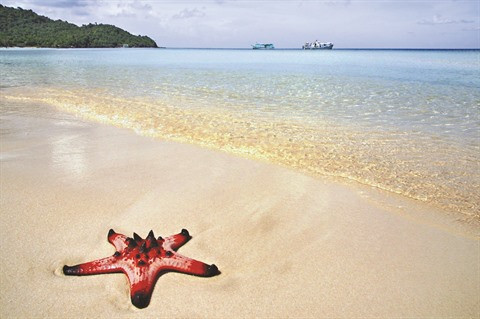 Bai Sao, paradis balnéaire sur l’île de Phu Quôc ảnh 2 Bai Sao, paradis balnéaire sur l’île de Phu Quôc ảnh 2