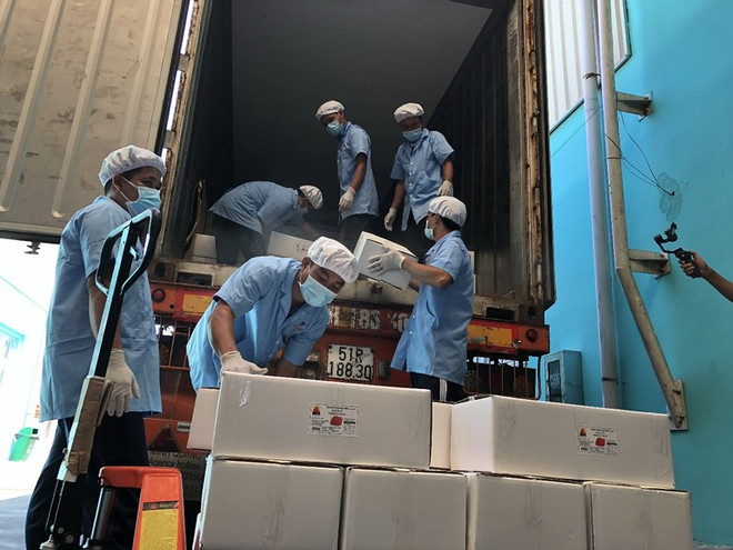 Exportation d’oeufs de canard salés vers l’Australie pour la première fois ảnh 2 Exportation d’oeufs de canard salés vers l’Australie pour la première fois ảnh 2