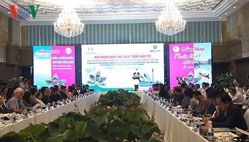 Promotion de l’investissement australien dans le Delta du Mékong ảnh 1