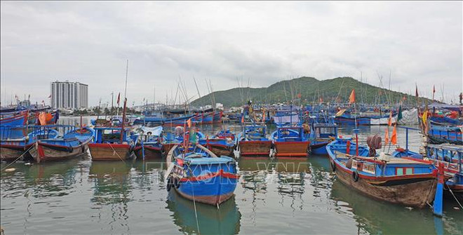 Khanh Hoa accélère ses efforts de lutter contre la pêche INN ảnh 1