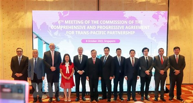Le Vietnam à la sixième session du Conseil du CPTPP ảnh 1 Le Vietnam à la sixième session du Conseil du CPTPP ảnh 1