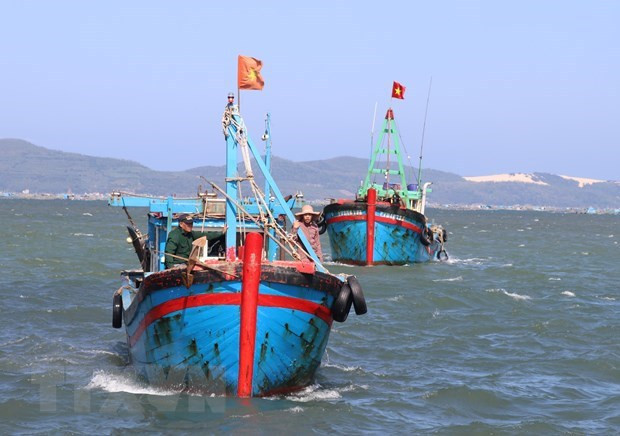 Binh Thuân veille à ses ressources halieutiques et lutte contre la pêche INN ảnh 1 Binh Thuân veille à ses ressources halieutiques et lutte contre la pêche INN ảnh 1