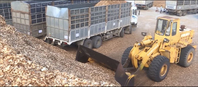 Les exportations de déchets forestiers pourraient rapporter des milliards de dollars ảnh 2 Les exportations de déchets forestiers pourraient rapporter des milliards de dollars ảnh 2