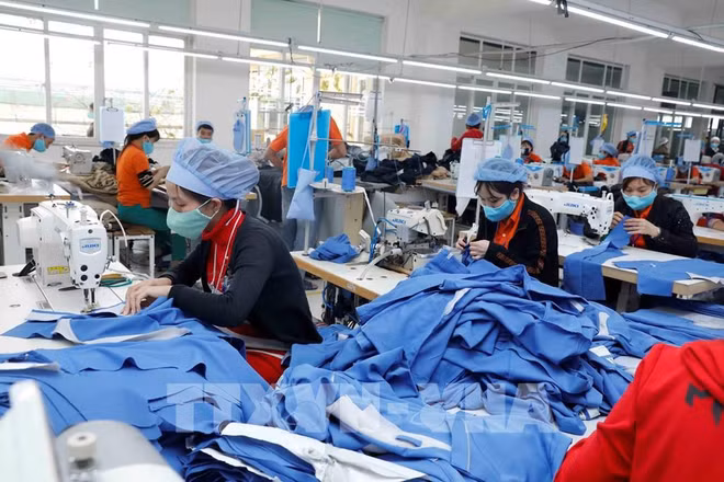Les industries de l’habillement, du textile et de la chaussure font face à une baisse des commandes ảnh 2 Les industries de l’habillement, du textile et de la chaussure font face à une baisse des commandes ảnh 2