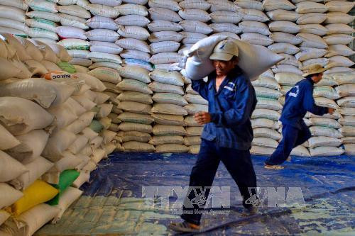 Myanmar : chute des exportations de riz ảnh 1 Myanmar : chute des exportations de riz ảnh 1