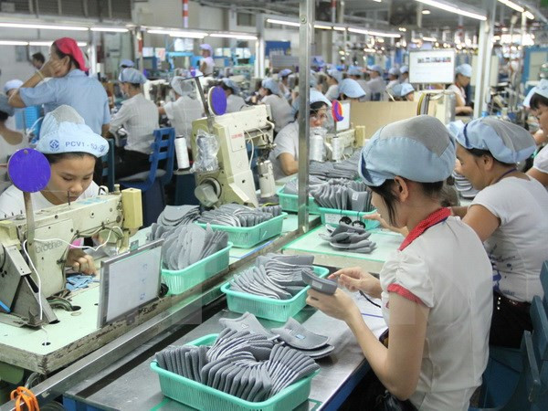 Le secteur de l’IDE contribue le plus au budget de HCM-Ville ảnh 1 Le secteur de l’IDE contribue le plus au budget de HCM-Ville ảnh 1