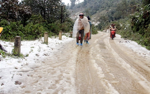Froid et neige s’invitent sous les tropiques ảnh 2 Froid et neige s’invitent sous les tropiques ảnh 2
