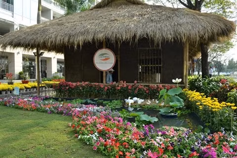 Les festivals floraux les plus attrayants de Hô Chi Minh-Ville ảnh 2