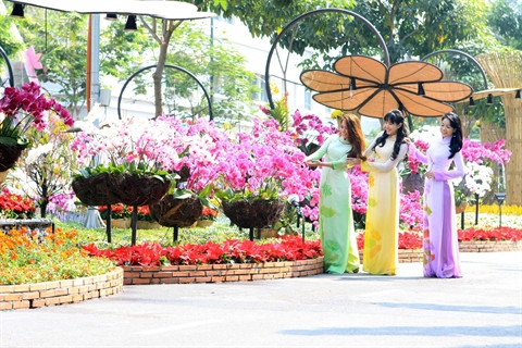 Rue florale du Têt du Singe 2016 ảnh 2 Rue florale du Têt du Singe 2016 ảnh 2