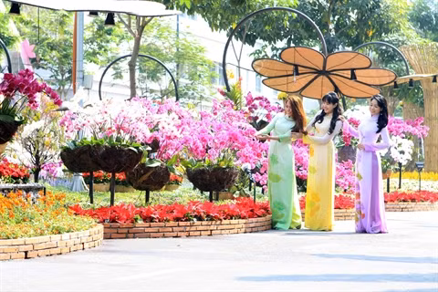 Rue florale du Têt du Singe 2016 ảnh 2