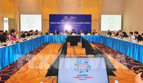 L’APEC fait de la sécurité alimentaire une des priorités ảnh 1 L’APEC fait de la sécurité alimentaire une des priorités ảnh 1