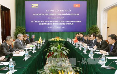 La 1ère session du Comité de coopération bilatérale Vietnam-Bruneï ảnh 1