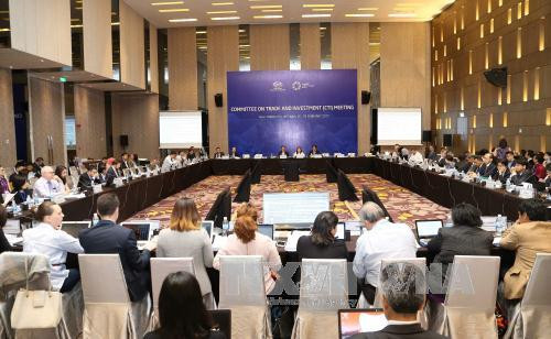 APEC 2017, opportunité en or pour promouvoir le commerce et l’investissement ảnh 1 APEC 2017, opportunité en or pour promouvoir le commerce et l’investissement ảnh 1
