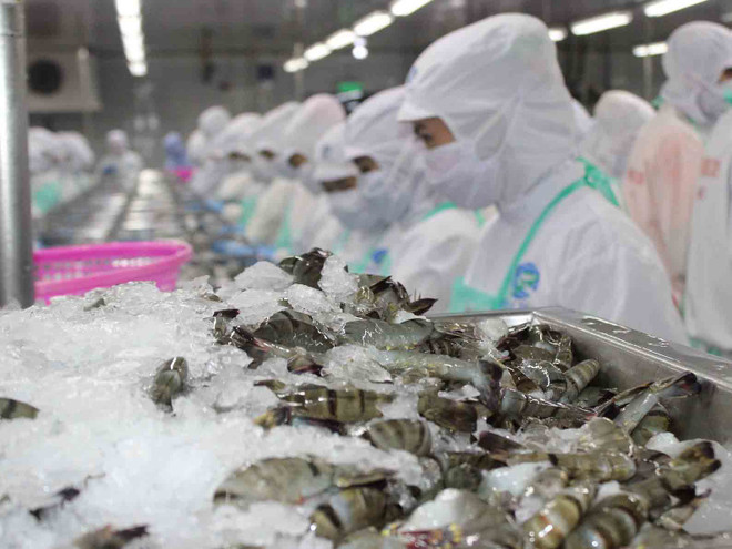 Signes positifs pour les exportations vietnamiennes de crevettes aux Etats-Unis ảnh 1
