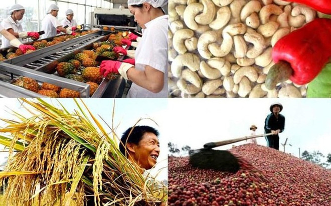 L’agriculture en quête d’une stratégie de compétitivité ảnh 1 L’agriculture en quête d’une stratégie de compétitivité ảnh 1