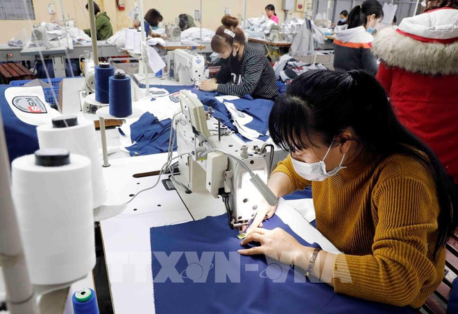 Trois groupes de mesures pour augmenter les exportations vers l’Europe et l’Amérique ảnh 1