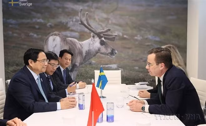 La coopération commercial Vietnam-Suède se développe continuellement ảnh 2