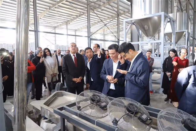 Inauguration de la première usine d'une entreprise vietnamienne en Égypte ảnh 2