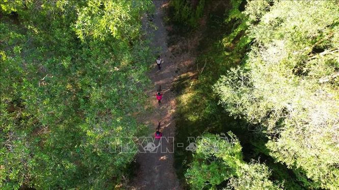 Le Vietnam envisage une amélioration dans le classement mondial du développement du tourisme ảnh 2 Le Vietnam envisage une amélioration dans le classement mondial du développement du tourisme ảnh 2