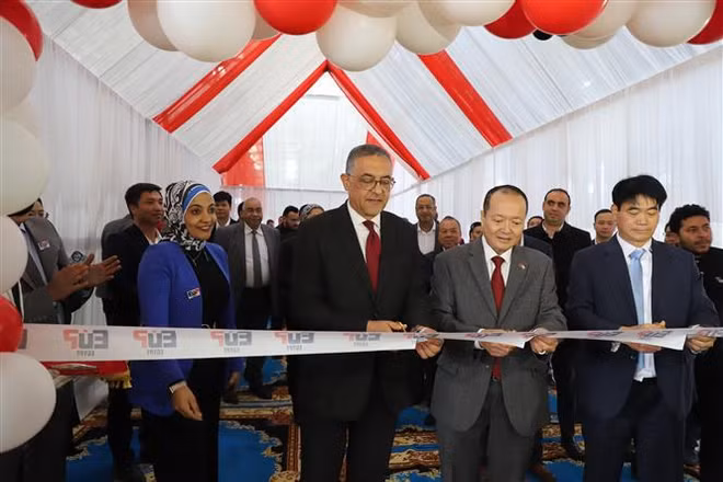 Inauguration de la première usine d'une entreprise vietnamienne en Égypte ảnh 1