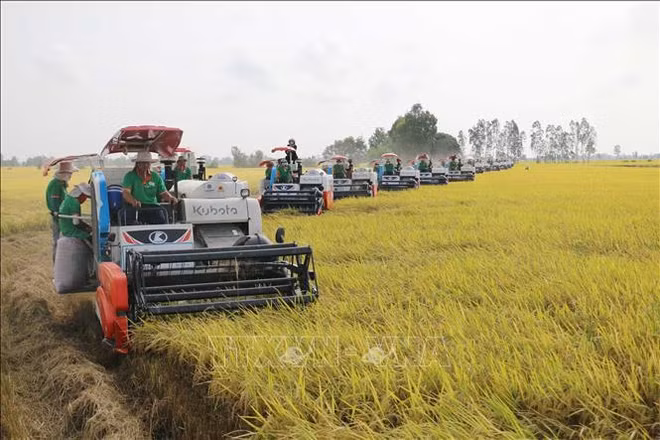 L'agriculture établit une série de records en 2023 ảnh 1