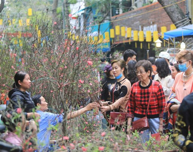 Hanoï : plus de 80 marchés aux fleurs à l’occasion du Têt ảnh 1 Hanoï : plus de 80 marchés aux fleurs à l’occasion du Têt ảnh 1