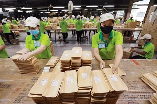 La coopération commercial Vietnam-Suède se développe continuellement ảnh 1