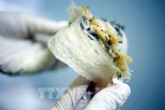Sept entreprises sont autorisées à exporter des nids de salanganes vers la Chine ảnh 1 Sept entreprises sont autorisées à exporter des nids de salanganes vers la Chine ảnh 1