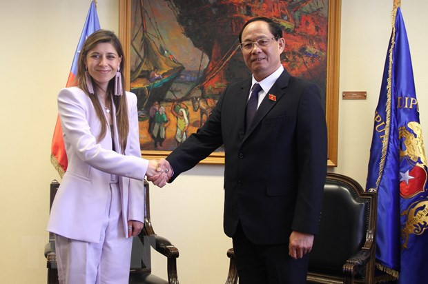 Le Chili, un marché d’exportation potentiel pour le Vietnam ảnh 3 Le Chili, un marché d’exportation potentiel pour le Vietnam ảnh 3