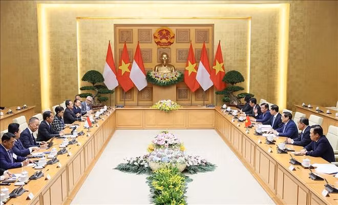 Booster la coopération multiforme Vietnam - Indonésie ảnh 2