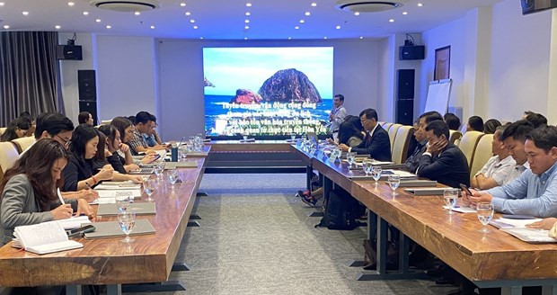 Phu Yen : Les activités touristiques contribuent à protéger les récifs coralliens de l'île de Hon Yen ảnh 1