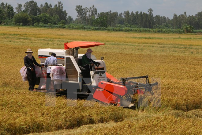 Une soixantaine d’agriculteurs à l’honneur ảnh 2 Une soixantaine d’agriculteurs à l’honneur ảnh 2