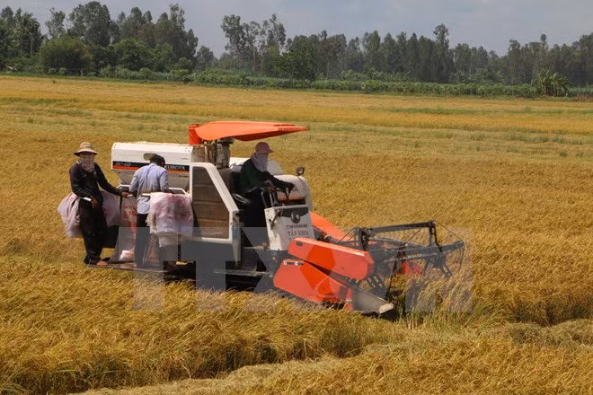 Une soixantaine d’agriculteurs à l’honneur ảnh 2