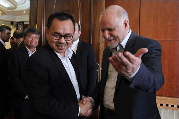 L’Iran soutien le retour de l’Indonésie au sein de l’OPEP ảnh 1 L’Iran soutien le retour de l’Indonésie au sein de l’OPEP ảnh 1