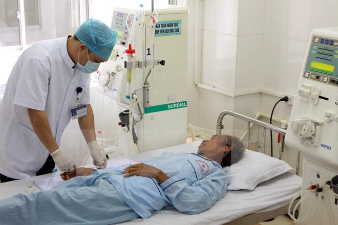 Le Vietnam élu au Conseil exécutif de l'Assemblée mondiale de la Santé ảnh 1 Le Vietnam élu au Conseil exécutif de l'Assemblée mondiale de la Santé ảnh 1