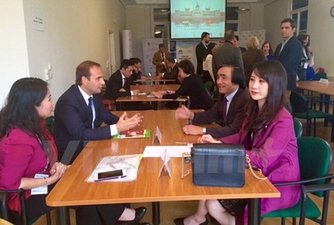 Forum d’affaires Vietnam-Hongrie à Budapest ảnh 1