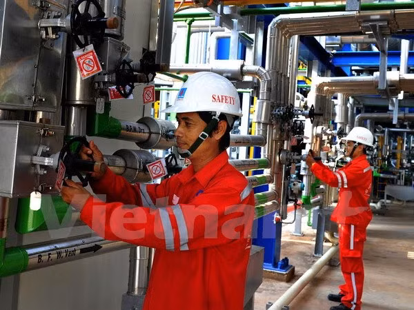 La centrale électrique Nhon Trach 2 a produit 20 milliards de kWh ảnh 1
