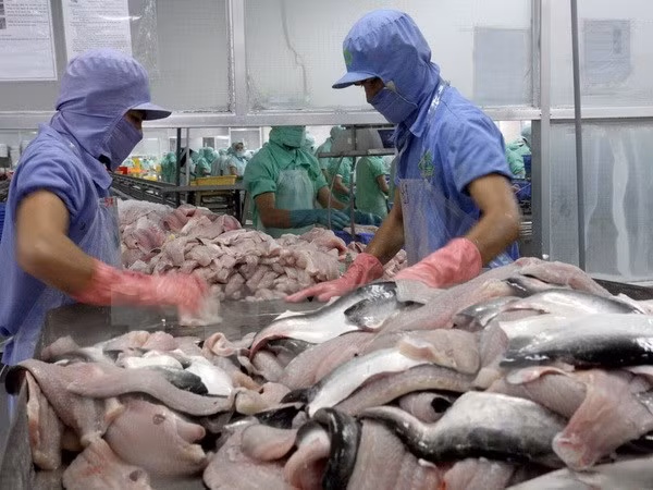 Can Tho cible 11 milliards d’USD d'exportations et services entre 2016 et 2020 ảnh 1