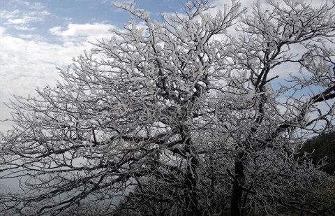 Il y aura peu de jours très froids cet hiver ảnh 1