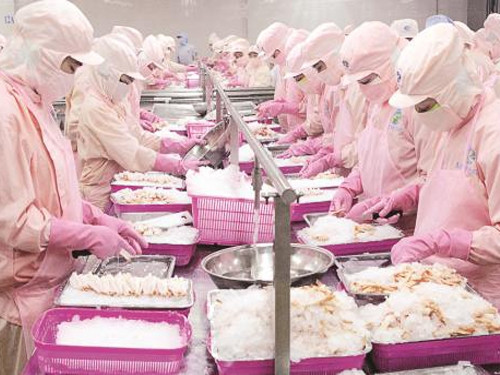 La R. de Corée: le débouché de 1er rang des calmars et pieuvres exportés par le Vietnam ảnh 1