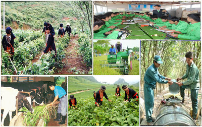 FAO et le Vietnam, côte à côte dans la lutte contre la pauvreté ảnh 1 FAO et le Vietnam, côte à côte dans la lutte contre la pauvreté ảnh 1