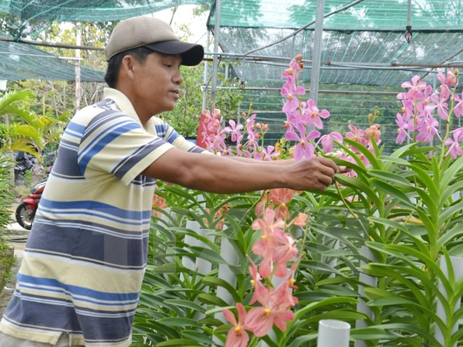 Renforcement de l'octroi des crédits à l'agriculture au Vietnam ảnh 1 Renforcement de l'octroi des crédits à l'agriculture au Vietnam ảnh 1