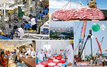 Fitch évalue l'impact du TPP sur l'économie vietnamienne ảnh 1 Fitch évalue l'impact du TPP sur l'économie vietnamienne ảnh 1