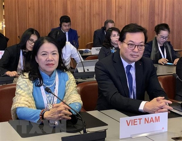 Le Vietnam à la 33e conférence de la Croix-Rouge et du Croissant-Rouge en Suisse ảnh 1 Le Vietnam à la 33e conférence de la Croix-Rouge et du Croissant-Rouge en Suisse ảnh 1